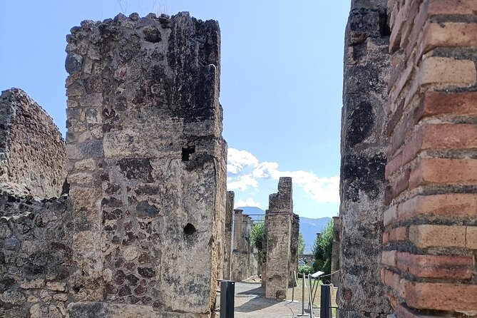 Naples transfer to Pompeii guided tour and Back - What the Pompeii admission fee covers