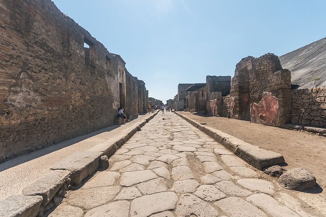 Naples transfer to Pompeii guided tour and Back - Tips for making the day run well