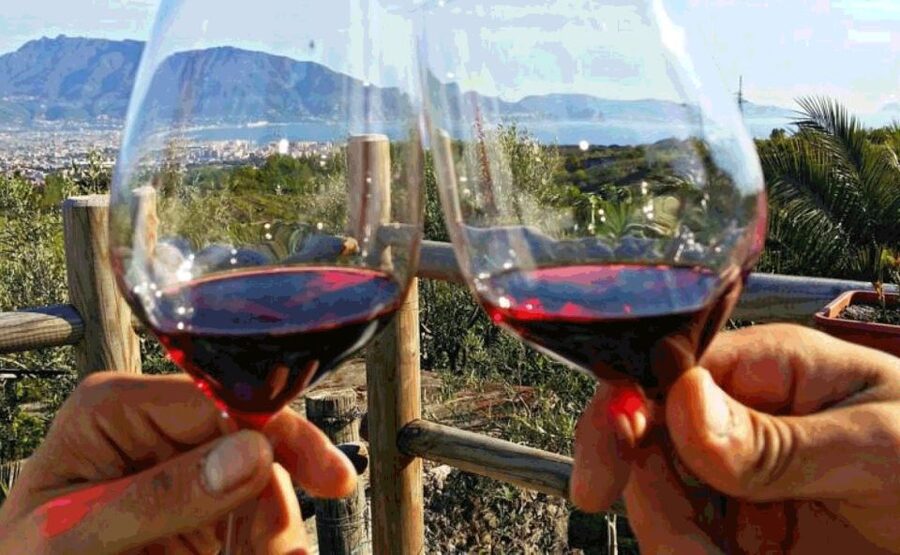 Naples: Vesuvius Half-Day Trip with Lunch and Wine Tasting - The timing needs a careful check