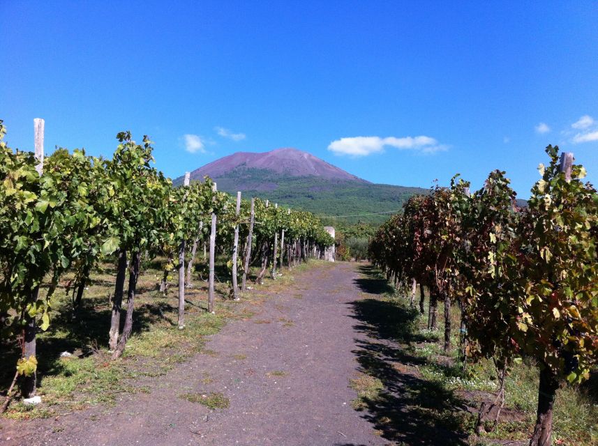 Naples: Vesuvius Half-Day Trip with Lunch and Wine Tasting - What to bring for the mountain