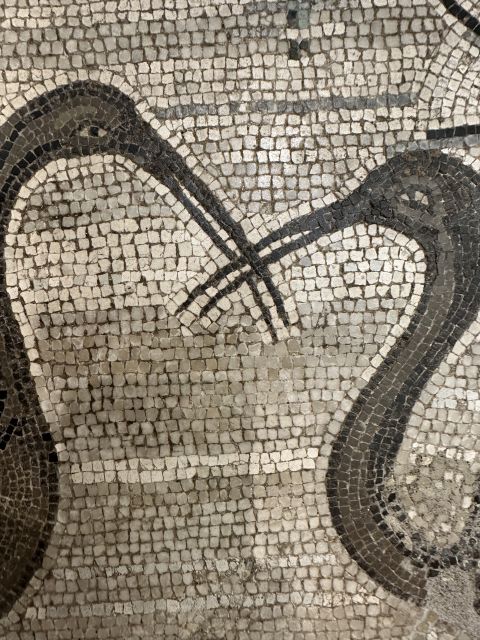 National Archaeological Museum of Naples Private Guided Tour - The first look: Pompeii and Herculaneum