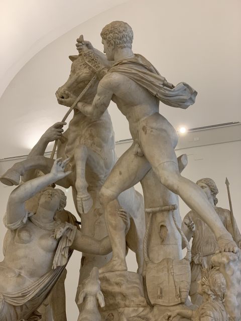 National Archaeological Museum of Naples Private Guided Tour - Why a private guide changes the museum visit