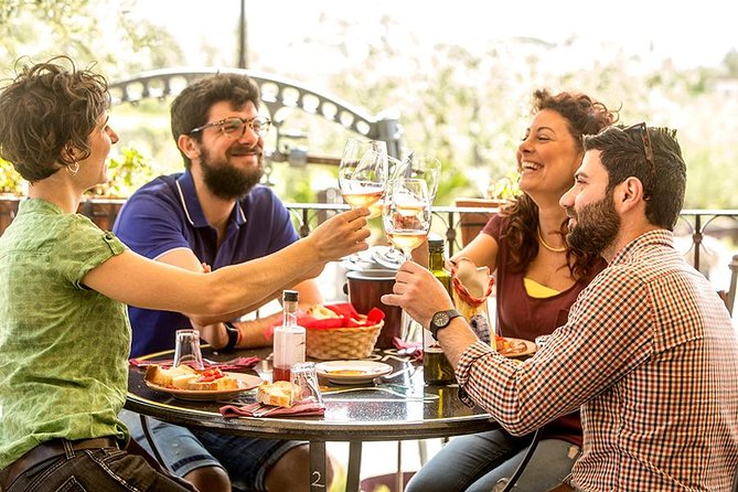 Organic Wine Tasting & Lunch Experience on Mt Vesuvius - The short tour at Cantina del Vesuvio