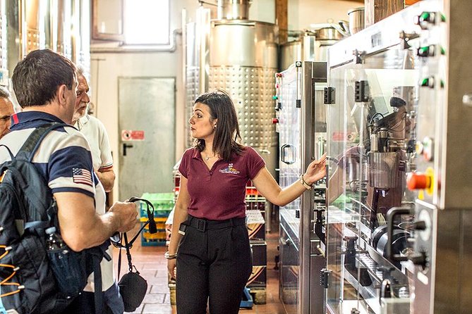 Organic Wine Tasting & Lunch Experience on Mt Vesuvius - The location detail you should verify