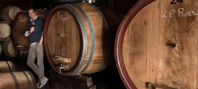Organic Wine Tasting & Lunch Experience on Mt Vesuvius - The wines: local bottles with a volcanic identity