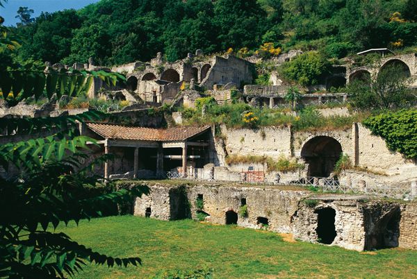 Phlegraean Fields: Cuma Baia and Pozzuoli private excursion - Key points at a glance