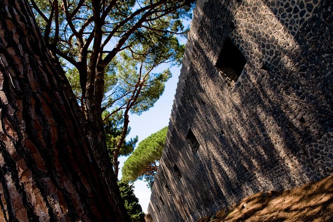 POMPEI Half Day TOUR - Departure from NAPLES Centre (TICKET INCLUDED) - Entering Pompeii and finding the Roman town
