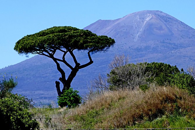 POMPEI Half Day TOUR - Departure from NAPLES Centre (TICKET INCLUDED) - Returning to Naples before lunch