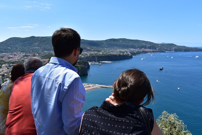 Pompeii & Amalfi Coast Tour from Naples or Sorrento - Why this private pairing works