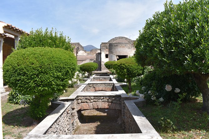 Pompeii & Amalfi Coast Tour from Naples or Sorrento - What the guide and driver add