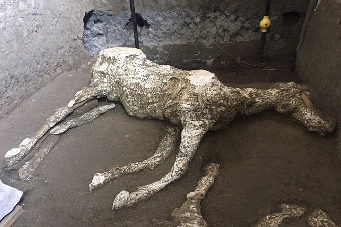Pompeii and Herculaneum Day Tour - with Lunch from Naples - What the Included Transport and Guides Are Worth
