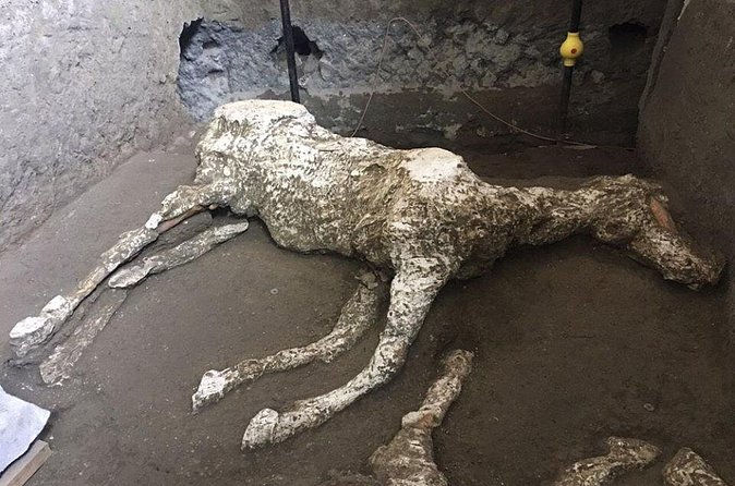 Pompeii and Herculaneum Day Tour - with Lunch from Naples - How Much Walking Should You Expect?