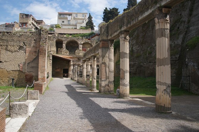 Pompeii and Herculaneum Day Tour - with Lunch from Naples - Who Will Get the Most From This Day?