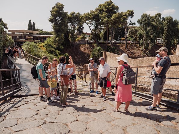 Pompeii and Herculaneum led by an Archaeologist with private transport - Pompeii’s forum, streets, and public buildings