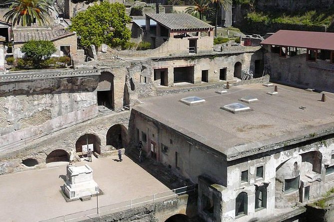 Pompeii and Herculaneum Private Tour - Who will get the most from this outing?