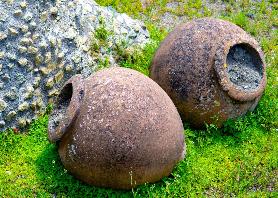 Pompeii and Herculaneum: Private Tour with Transportation - What the private guide adds