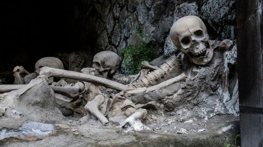 Pompeii and Herculaneum: Private Tour with Transportation - Who should book this day