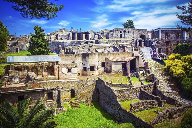 Pompeii and Herculaneum Ruins Private Tour - Driver commentary is useful, but it is not a guided tour
