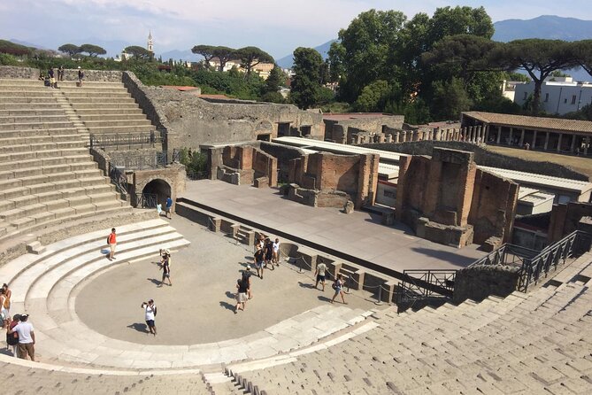Pompeii and Sorrento Day Trip from Naples - Transport from Naples and the cruise ship question