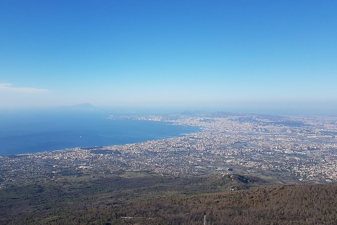 Pompeii and Vesuvius Day Trip from Naples with Skip The Line - Who should book this experience?