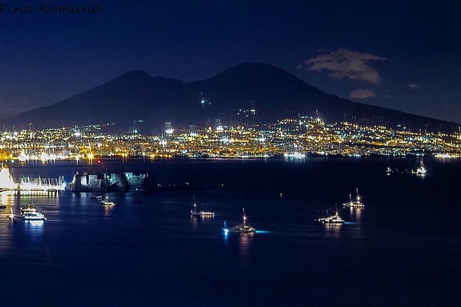 Pompeii and Vesuvius from Naples. Private activity - Key points to know before booking
