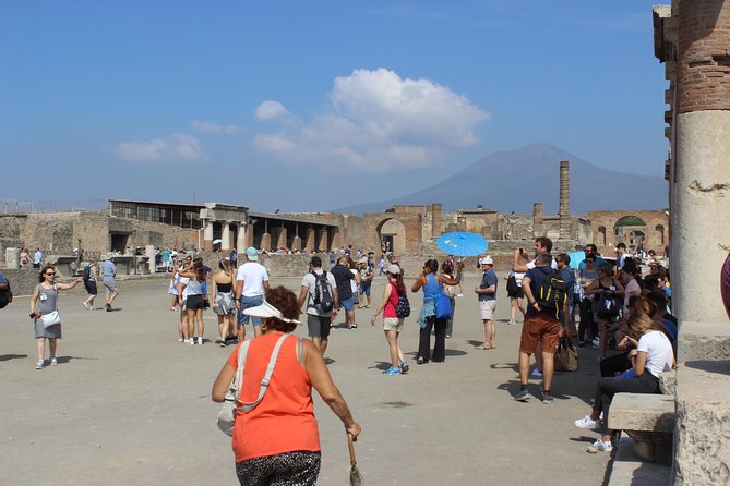 Pompeii and Vesuvius from Naples. Private activity - Lunch among the Vesuvius vineyards