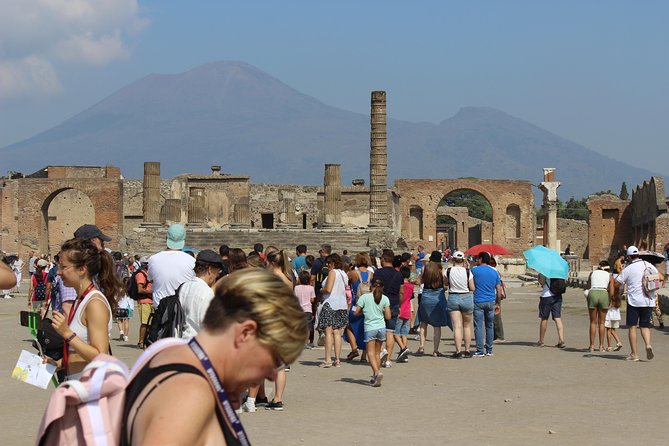 Pompeii and Vesuvius from Naples. Private activity - Who should book this experience?