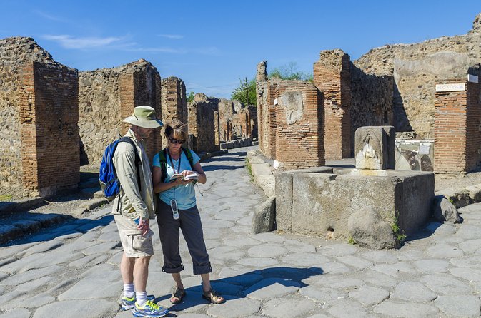 Pompeii and Vesuvius Full Day Private Shore Excursion - The Lupanar, Stabian Baths, and Roman entertainment