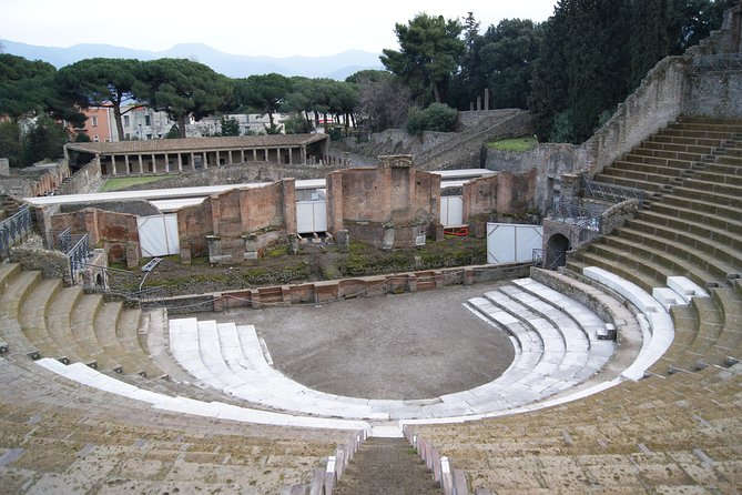Pompeii and Vesuvius Small Group Tour From Naples with Pizza - Meeting in Naples and riding to the volcano