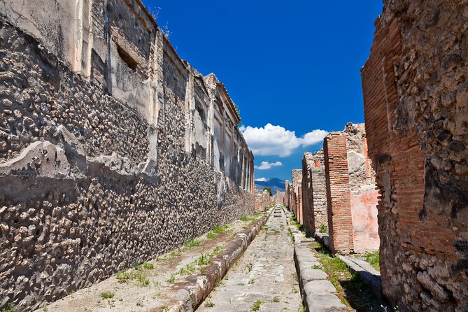 Pompeii and Vesuvius Wine Tasting Private Tour - Why This Naples Day Works So Well