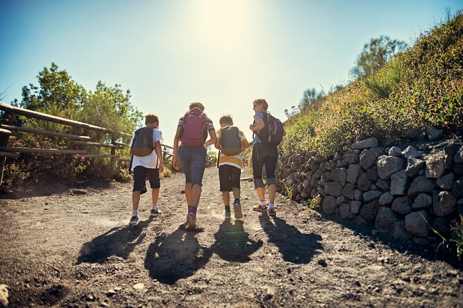 Pompeii and Vesuvius Wine Tasting Private Tour - Starting Near Naples Centrale