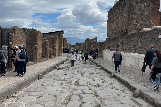 Pompeii Guided Tour from Naples with Transport and Entrance Included - The Private Drive From Naples to Pompeii