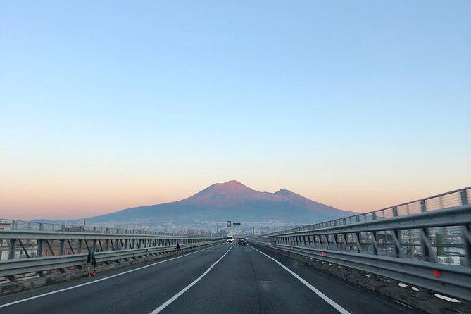 Pompeii, Herculaneum and Vesuvius Private Guided Tour - A Private Guide Changes the Rhythm