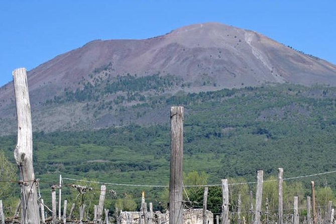 Pompeii, Herculaneum and Vesuvius Private Guided Tour - Herculaneum Gives You a Closer, More Compact View