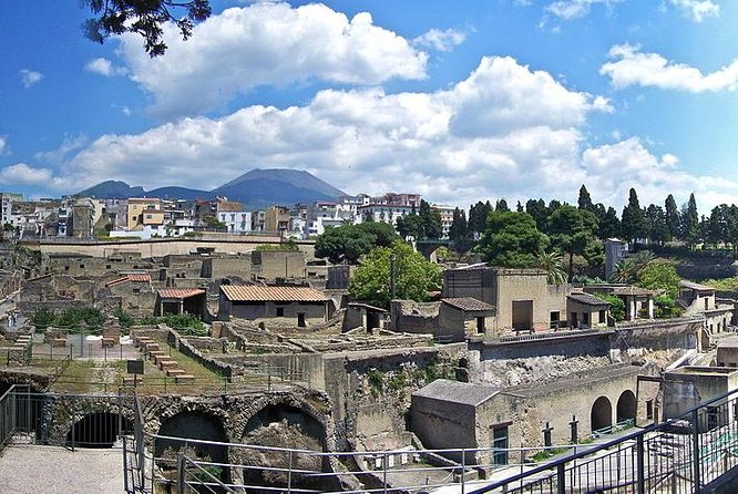 Pompeii & Herculaneum Day Trip from Naples with Lunch - Who should book this day trip