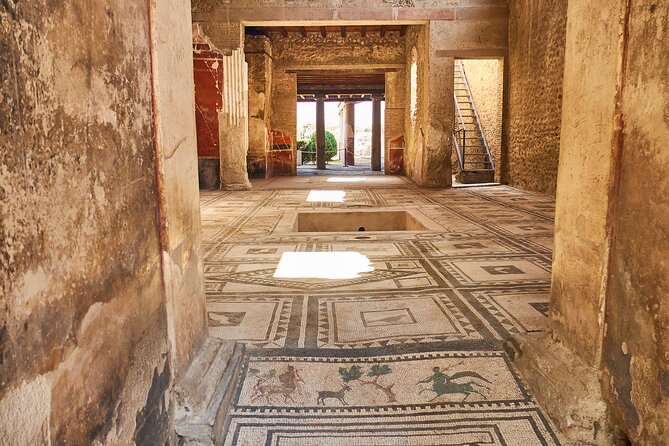 Pompeii, Herculaneum & Mt Vesuvius Private Tour from Naples - Pompeii needs a plan, even with two hours