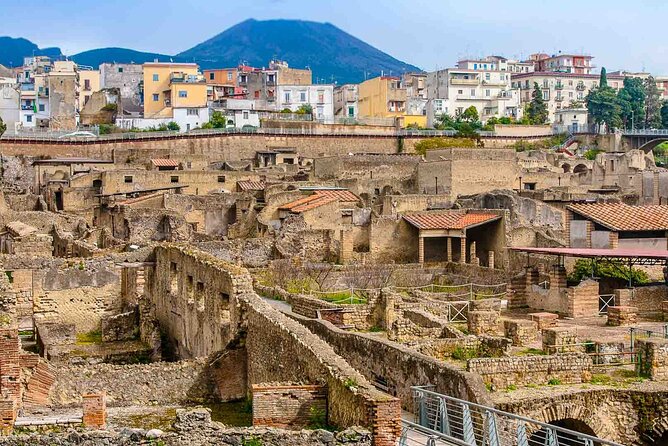 Pompeii & Herculaneum Private Tour: Fast-Track, Winery & Lunch - Price, tickets, and what you receive