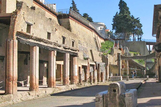Pompeii & Herculaneum Private Tour: Fast-Track, Winery & Lunch - Pompeii in two hours: big streets, villas, and public life