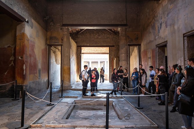 Pompeii & Mt.Vesuvius Day Tour from Naples with Pizza Lunch - Who should book this Naples day tour?