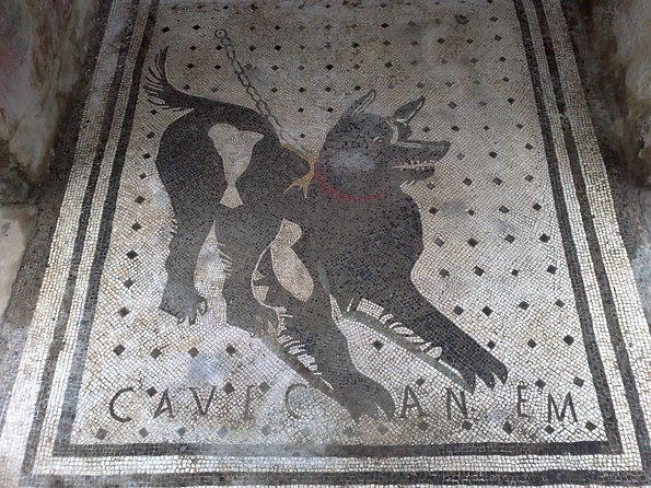 Pompeii Positano and Sorrento shared excursion with Pompeii skip the line entry - Is $155 a fair price?