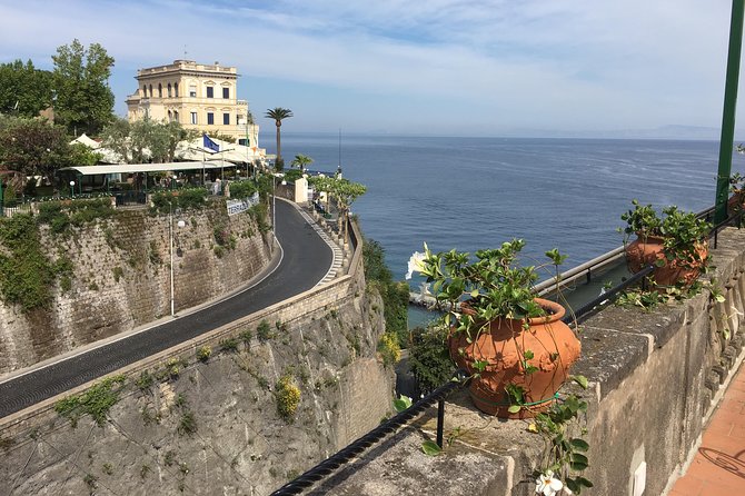 Pompeii private guided tour and Amalfi coast - Sorrento with one hour to wander