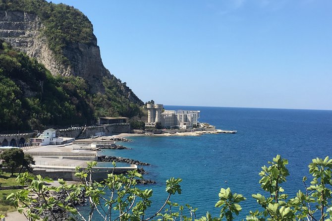 Pompeii private guided tour and Amalfi coast - Pompeii in two focused hours