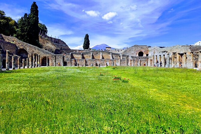 Pompeii private tour from Naples. The best choice for cruisers - Why this Pompeii tour works well for cruise passengers
