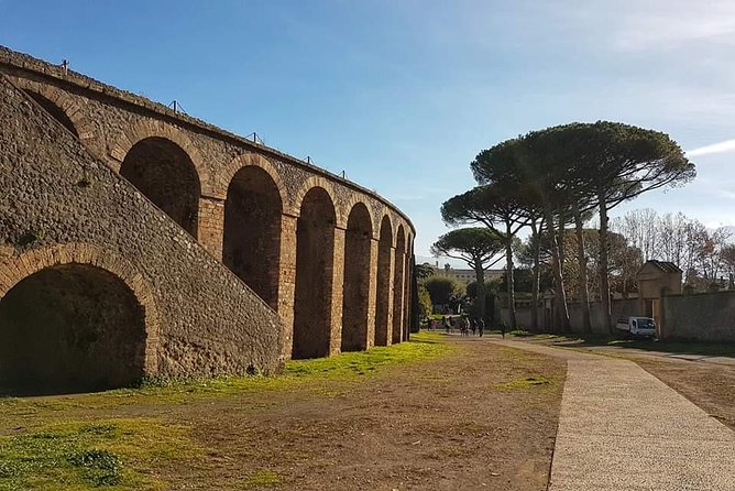 Pompeii Ruins: Day Trip from Naples with skip the line ticket - Is $81.10 a fair price?