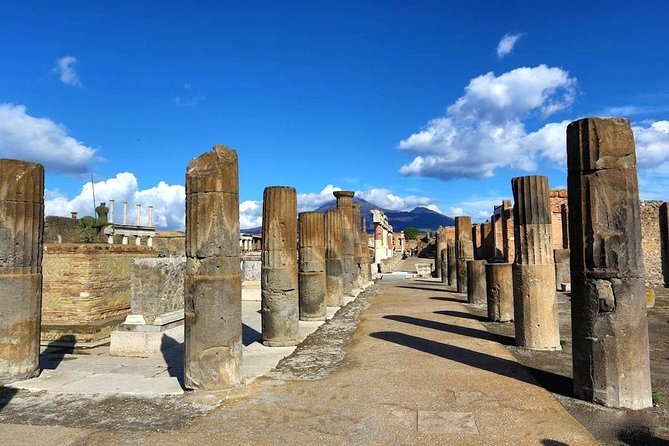 Pompeii Ruins: Day Trip from Naples with skip the line ticket - Who should book this experience?