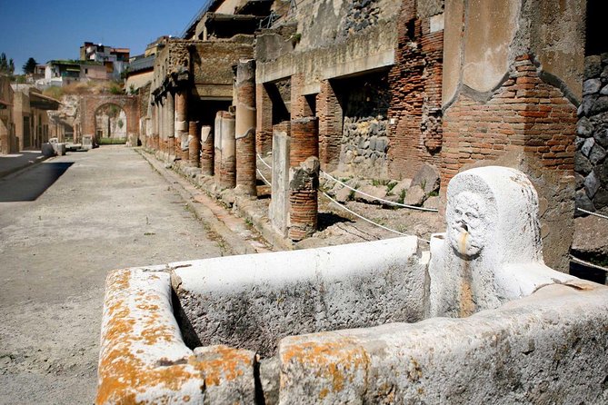 Pompeii Ruins: Day Trip from Naples with skip the line ticket - Three hours to explore the ruins