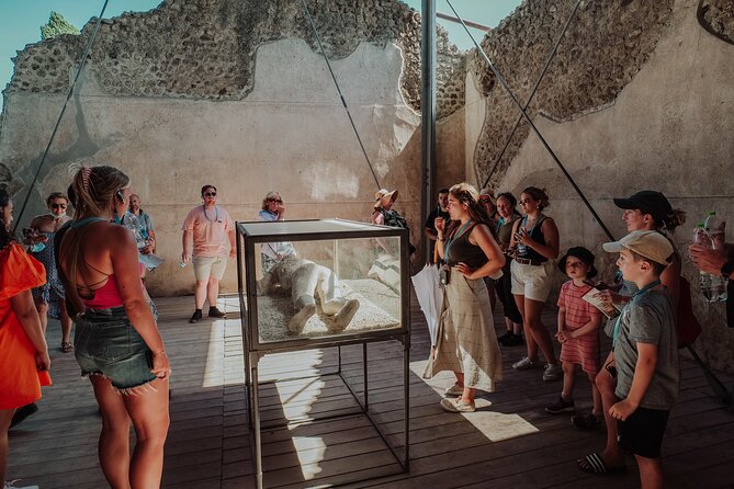Pompeii Small Group Excursion From Naples - The ride from Naples to the ruins