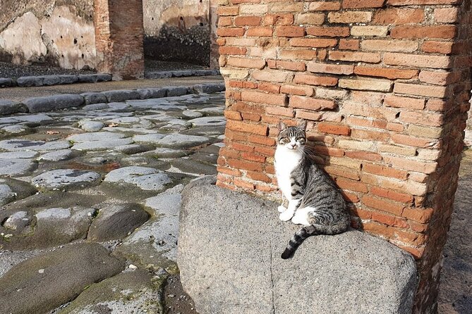 Pompeii the Ancient City (Tour+Transfer) - Via dell’Abbondanza is Pompeii’s most lively walk