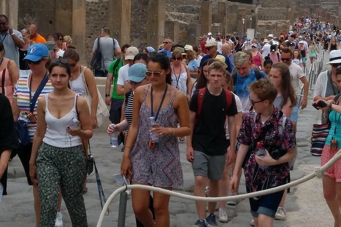 Pompeii the Ancient City (Tour+Transfer) - What $70.89 plus the entry fee really buys you