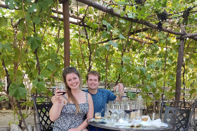 Pompeii, Vesuvius & Wine Tasting Private day Tour - What is included, and what will cost extra
